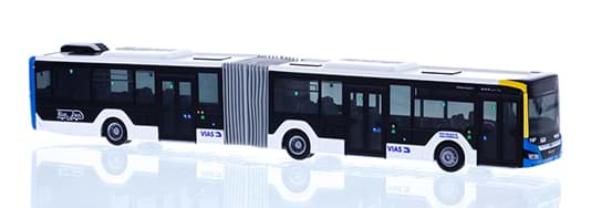 Bild von VIAS Bus - Rurtalbus MAN Lion´s City 18 ´18 
